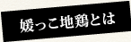 媛っこ地鶏とは