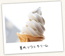 栗のソフトクリーム