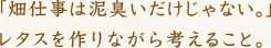 「畑仕事は泥臭いだけじゃない。」レタスを作りながら考えること。
